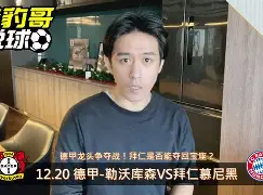 勒沃库森新援表现抢眼，助球队赢得关键胜利