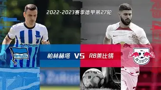 柏林赫塔主力阵容